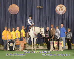 Assisted HUS Golden horse WT 516-5834