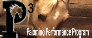 Palomino Performance Program