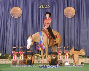 2015 Golden Horse