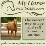 My Horse for Sale