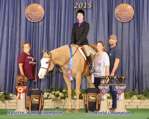 Youth Hunt Seat Equitation - 14-18                             