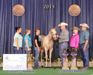 Amateur Weanling Stallions   