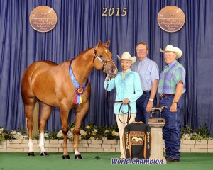 Amateur Two Year Old Mares     