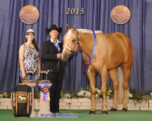 Amt 50+ Showmanship       