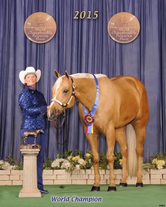 Novice Amateur Showmanship      