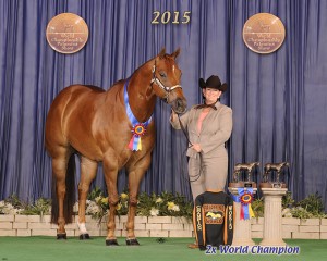 PB Junior Geldings                                                                                                                                                                                                   